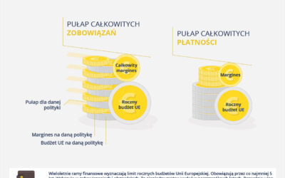 Wieloletnie ramy finansowe – siedmioletni plan wydatków Unii Europejskiej